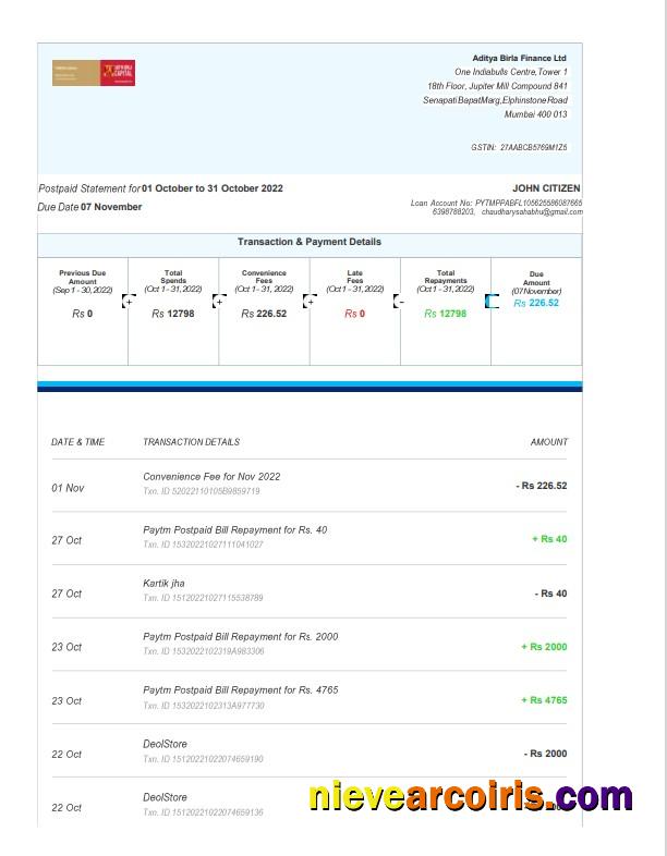India Aditya Birla Finance Ltd bank statement, Word and PDF format, 3 pages
